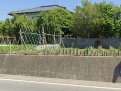 長野県駒ヶ根市赤穂売地