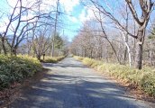 長野県南佐久郡南牧村海ノ口売地