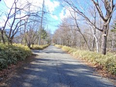 長野県南佐久郡南牧村海ノ口売地