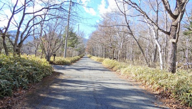 長野県南佐久郡南牧村海ノ口売地