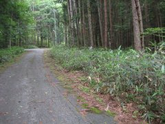 長野県下伊那郡阿智村浪合売地