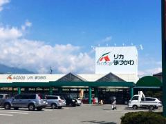 長野県下伊那郡松川町元大島売地