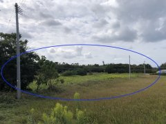 新潟県佐渡市八幡売地