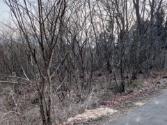 長野県上田市生田売地