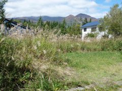 長野県北安曇郡白馬村大字北城落倉売地