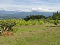 長野県下伊那郡松川町上片桐売地