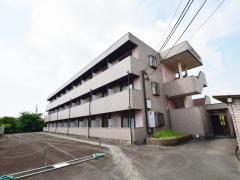 メゾンサイプレス