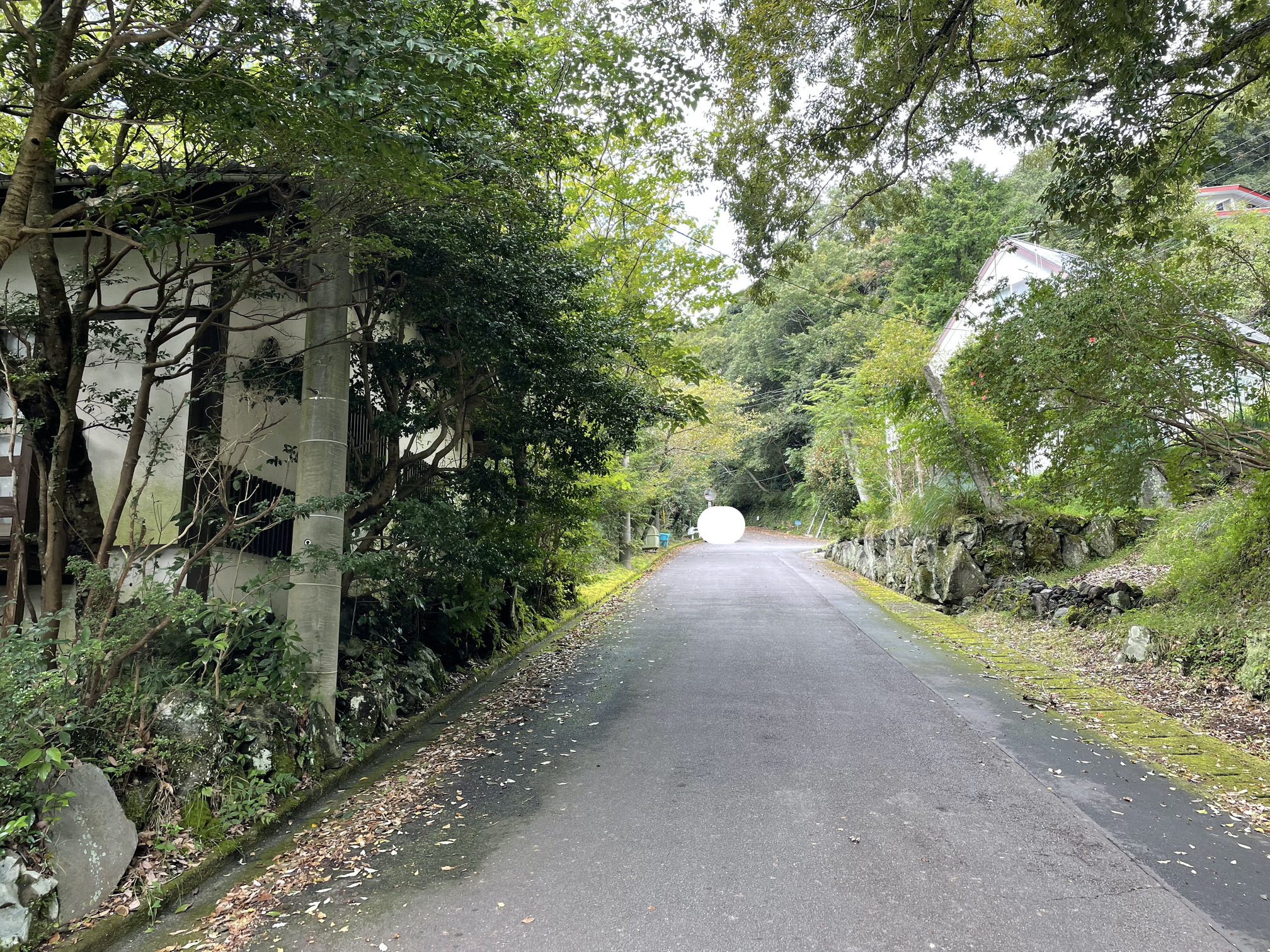 静岡県伊東市赤沢売地