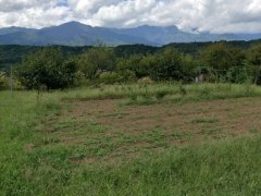 長野県上伊那郡中川村大草売地