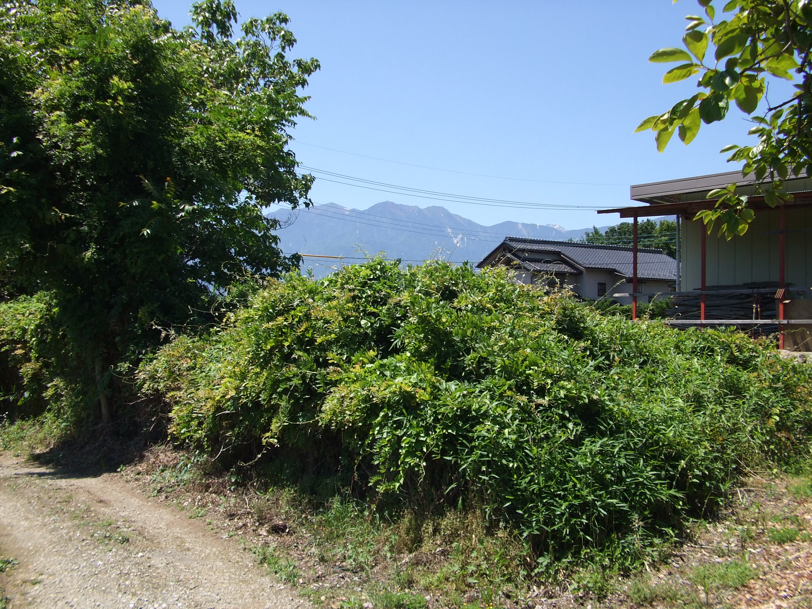 山梨県北杜市長坂町中丸売地