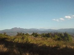 山梨県韮崎市旭町上條北割売地