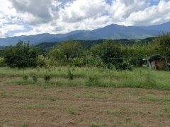 長野県上伊那郡中川村大草売地