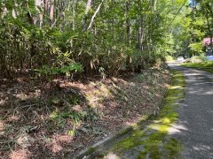 長野県下伊那郡阿智村浪合売地