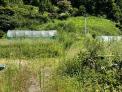 長野県伊那市高遠町長藤売戸建住宅