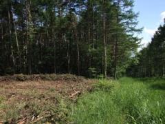山梨県北杜市大泉町西井出売地