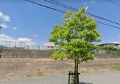 長野県駒ヶ根市赤穂売地