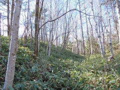 長野県南佐久郡南牧村海ノ口売地