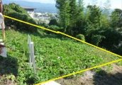長野県飯田市宮の上売地