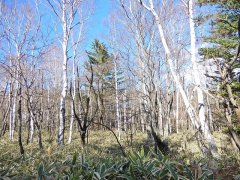 長野県南佐久郡南牧村海ノ口売地