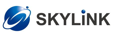 (株)スカイリンク 渡辺通本店