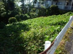 長野県飯田市宮の上売地