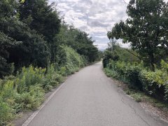 新潟県佐渡市八幡売地