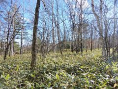 長野県南佐久郡南牧村海ノ口売地